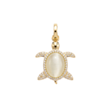 Tide Turtle Charm